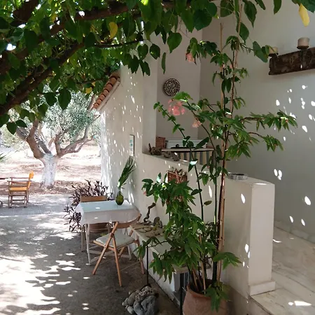 Thimari A House In Olive Grove Casa de Férias
