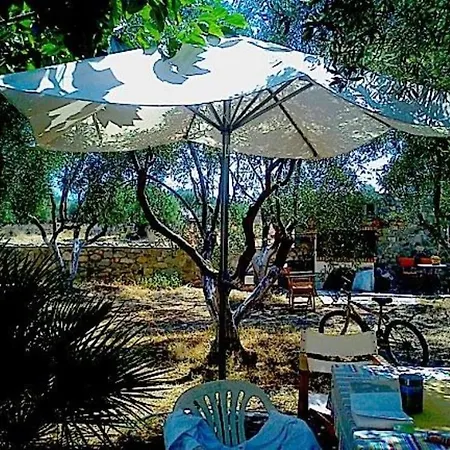 Thimari A House In Olive Grove Casa de Férias