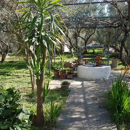 Casa de Férias Thimari A House In Olive Grove *