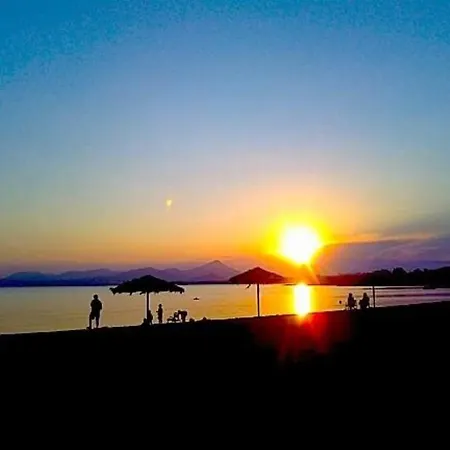 Thimari A House In Olive Grove Casa de Férias *